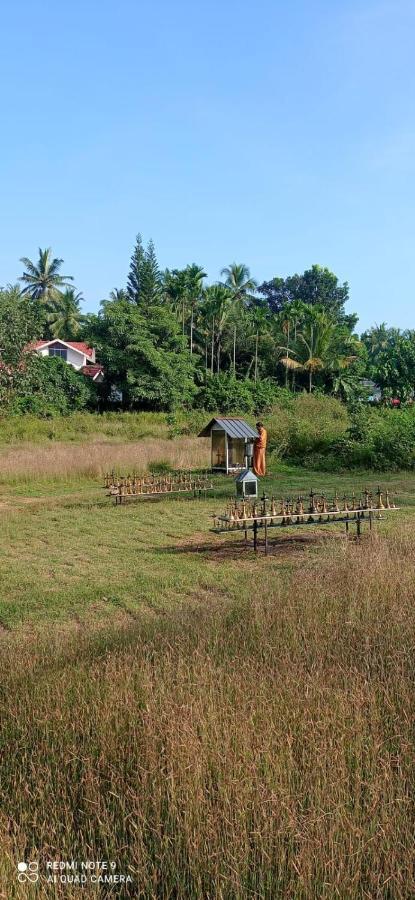 Narayanalayam-Vintage Retreat-Homestay & Rest'Inn Kannur Exterior photo