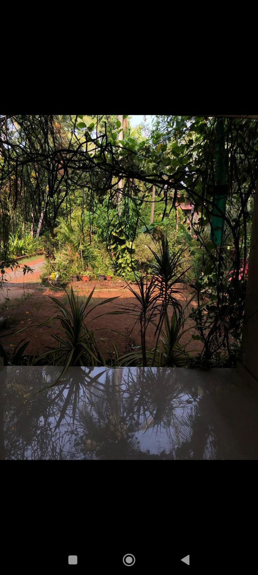 Narayanalayam-Vintage Retreat-Homestay & Rest'Inn Kannur Exterior photo